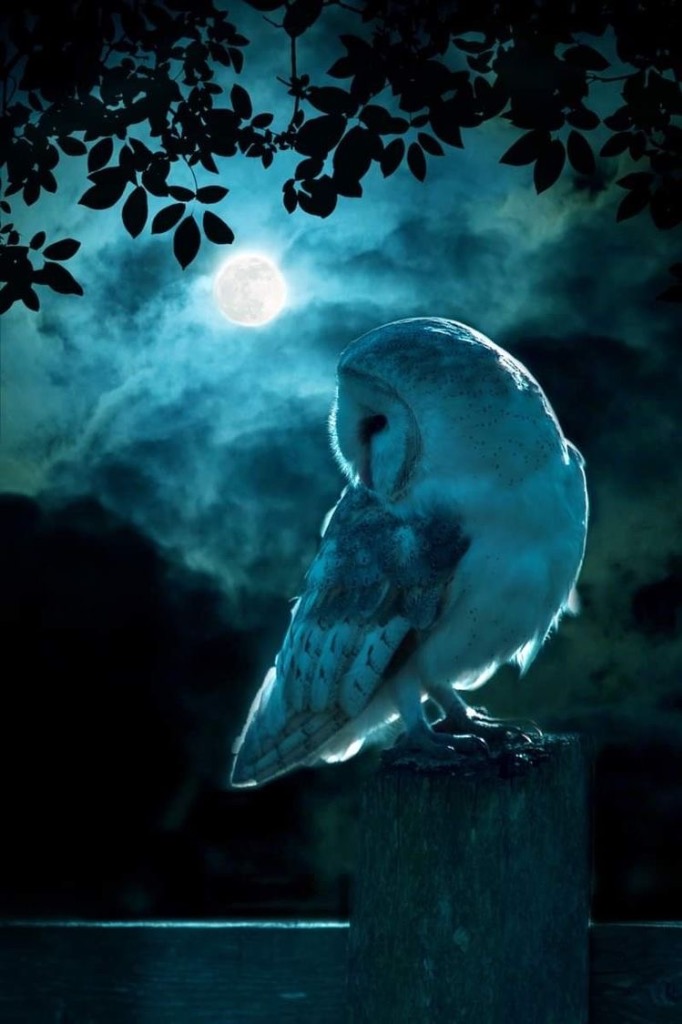 photo portrait Assia magnétisme 