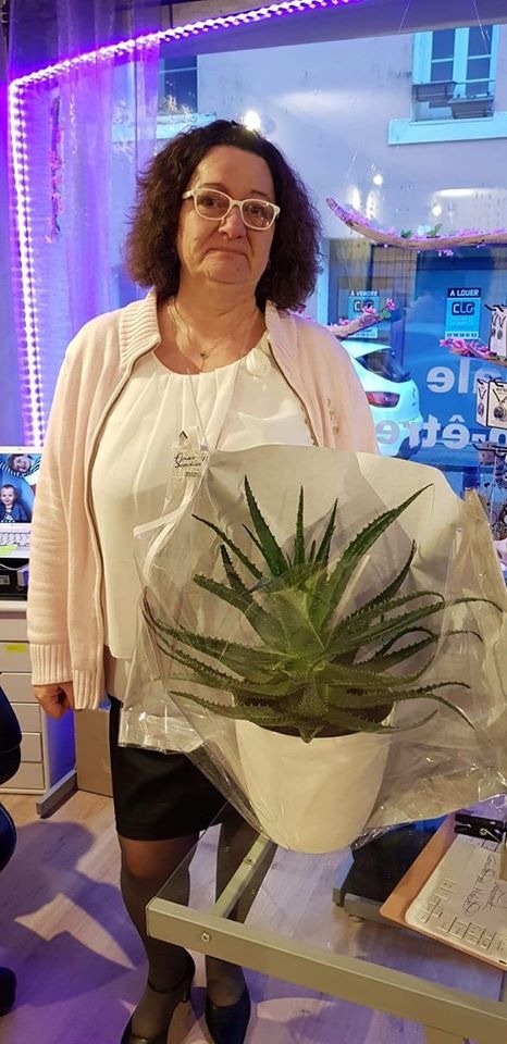 photo activite VALERIE-VICTOIRE MACKOWICZ