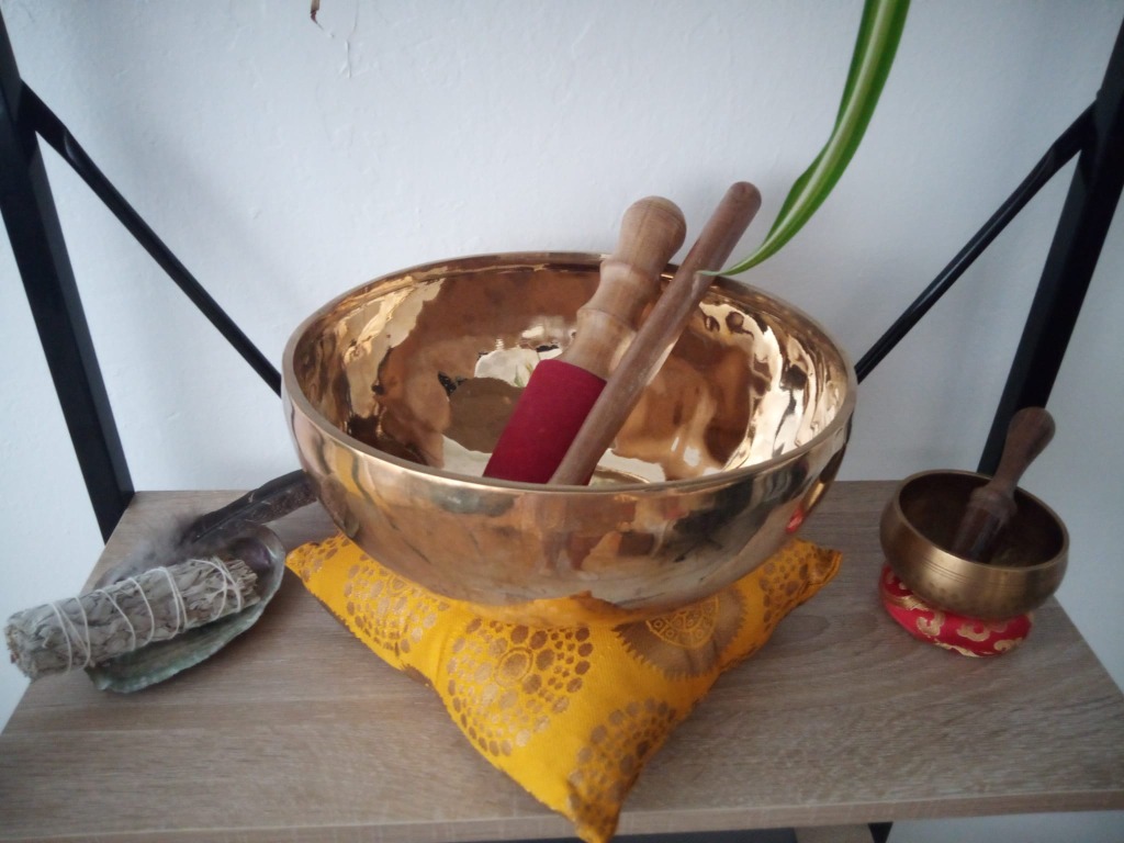 photo activite Stéphan Gatto