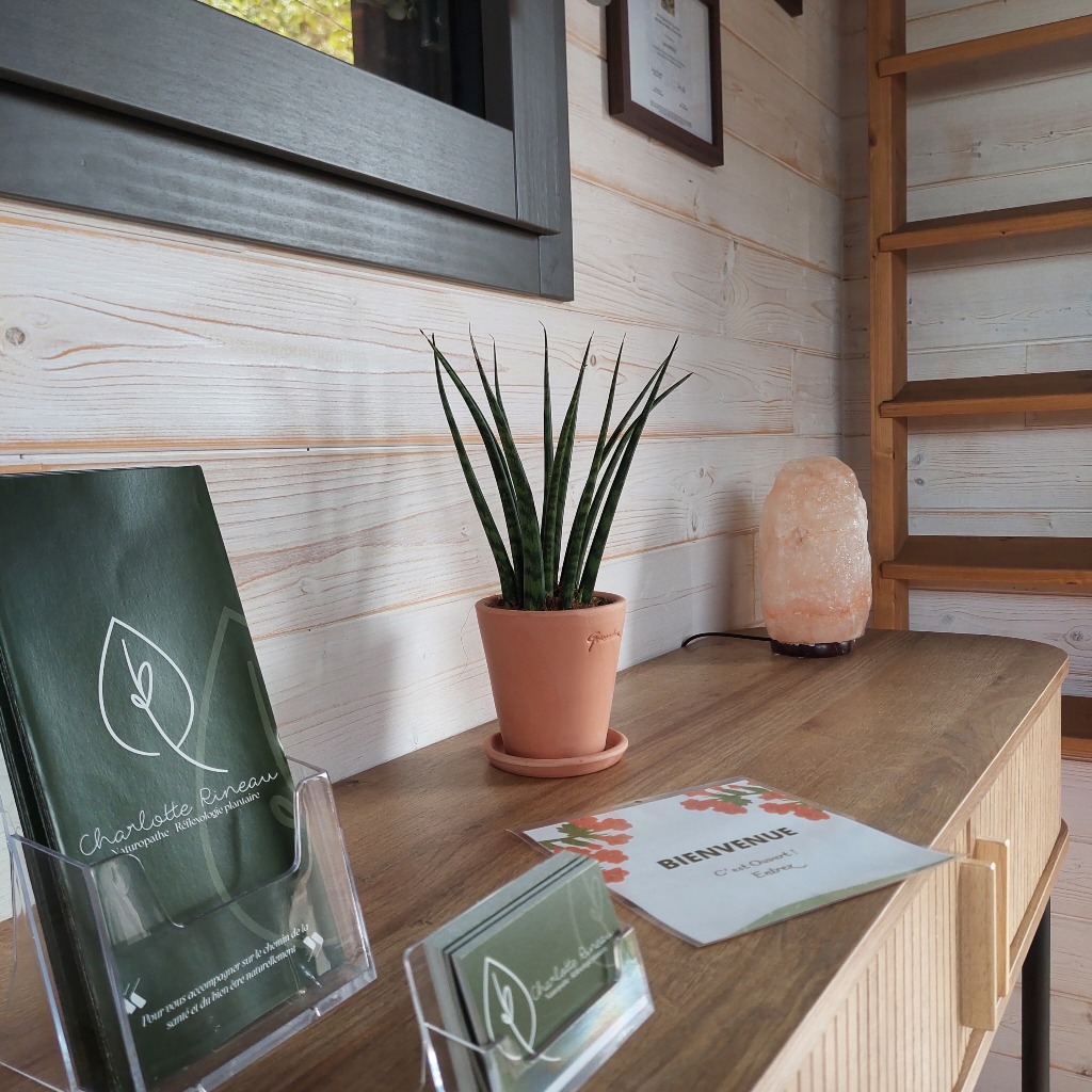 photo cabinet Charlotte Rineau