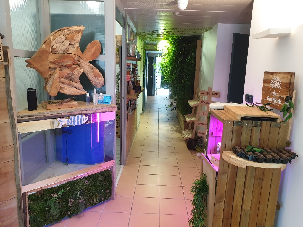 photo cabinet MICHEL DEYDIER BASTIDE