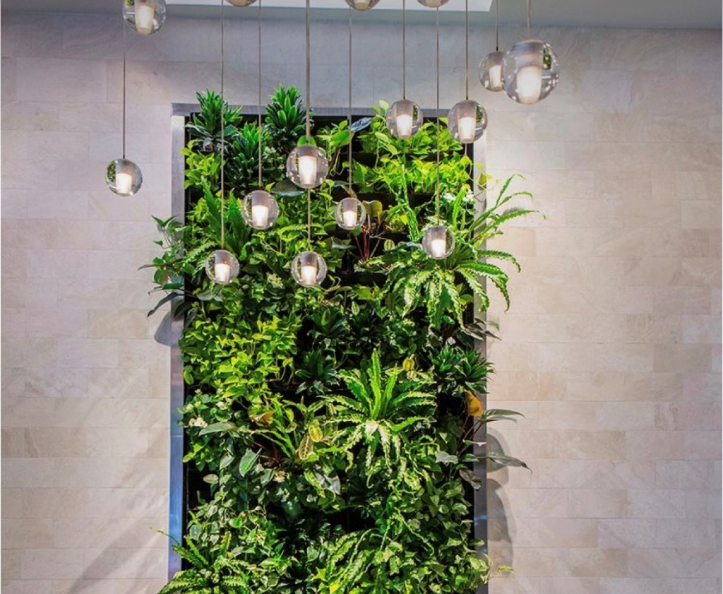 photo activite Barbara Holistic wellness