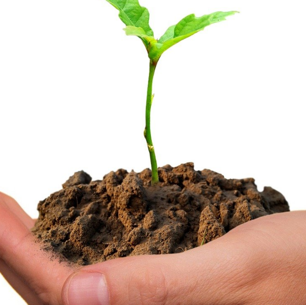 La Natur’O Naturelle