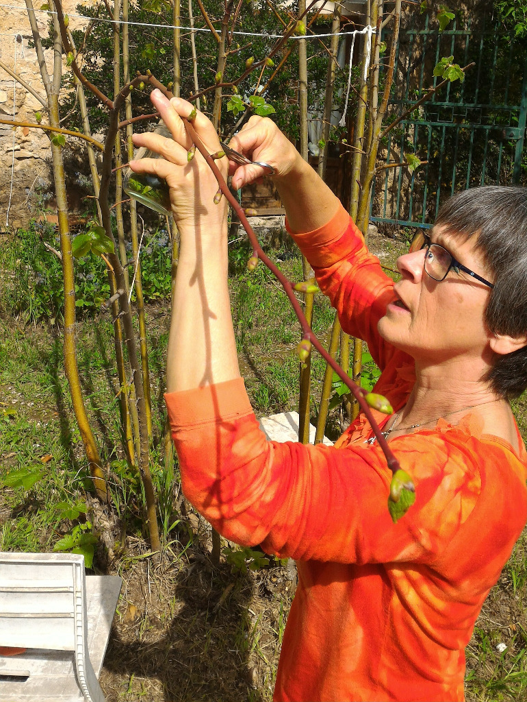 photo activite La Natur’O Naturelle