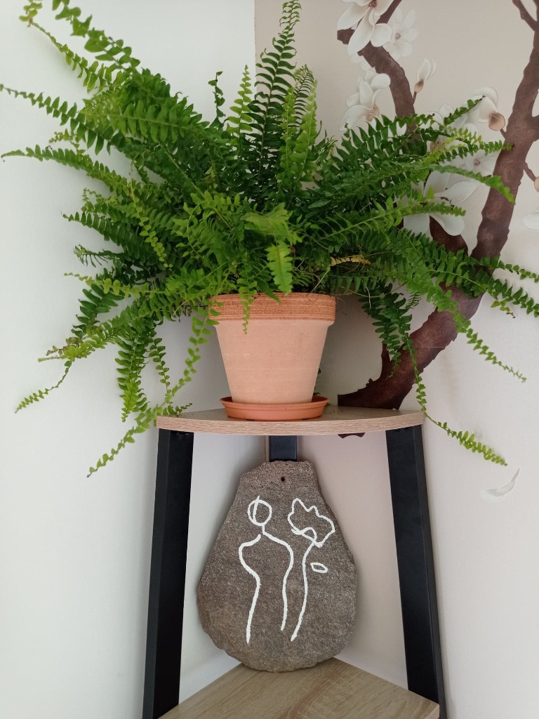 photo cabinet Audrey GOESSENS