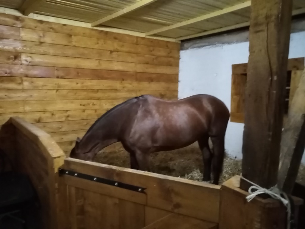 photo cabinet Equi es tu ?? 