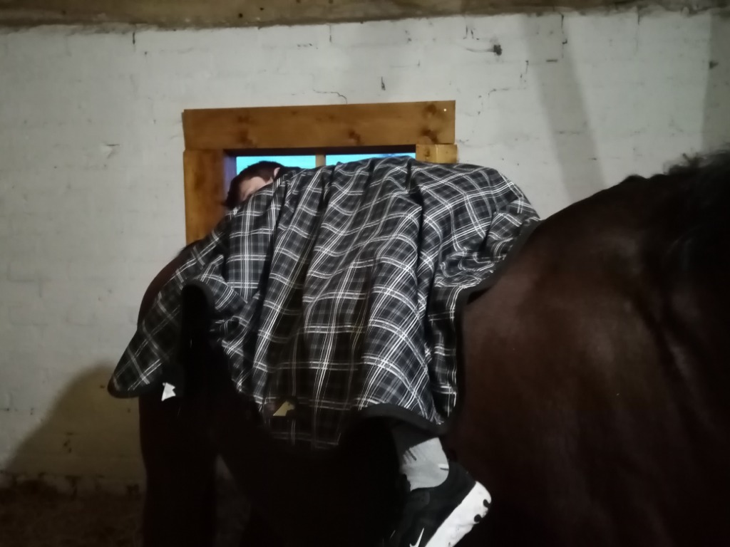 photo seance Equi es tu ?? 