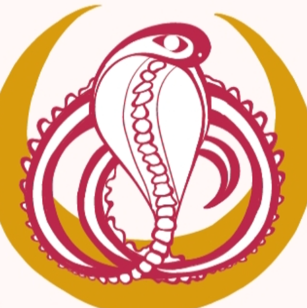 ECOLE DE YOGA SHAKTI LE PRADET