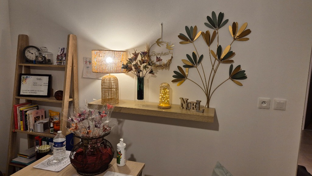 photo cabinet Delphine Simonet