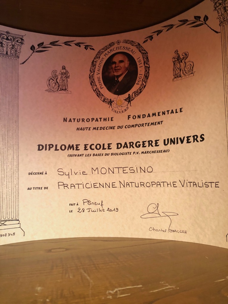 photo diplome Sylvie MONTESINO