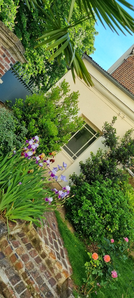 photo seance Aurelia Cainne-Cavallie