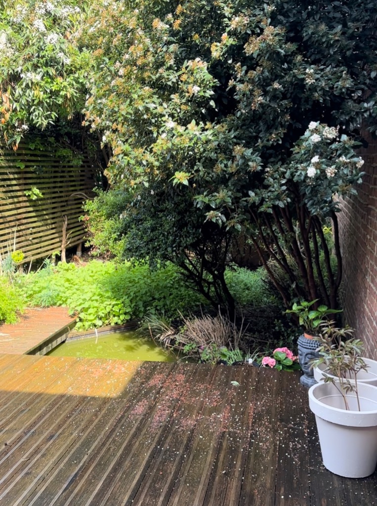 photo activite Valérie DEVILLE