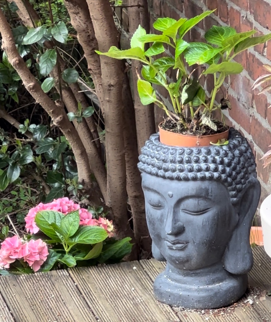 photo diplome Valérie DEVILLE