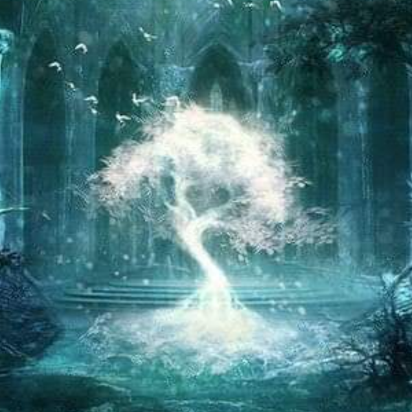 L’Aurore du Bien-être 