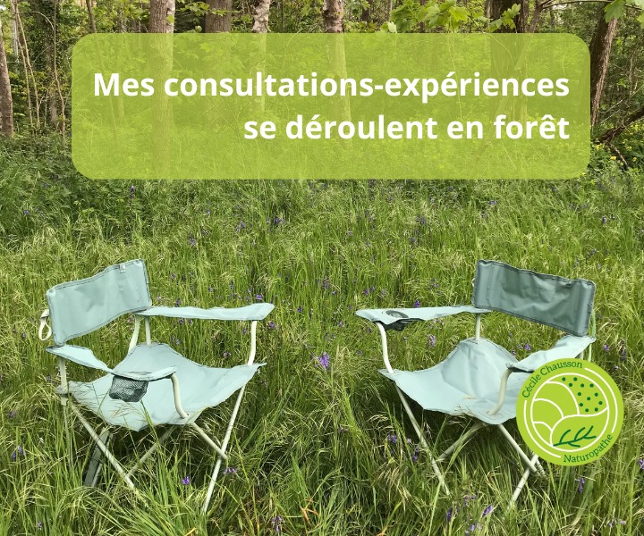 photo cabinet CHAUSSON Cécile