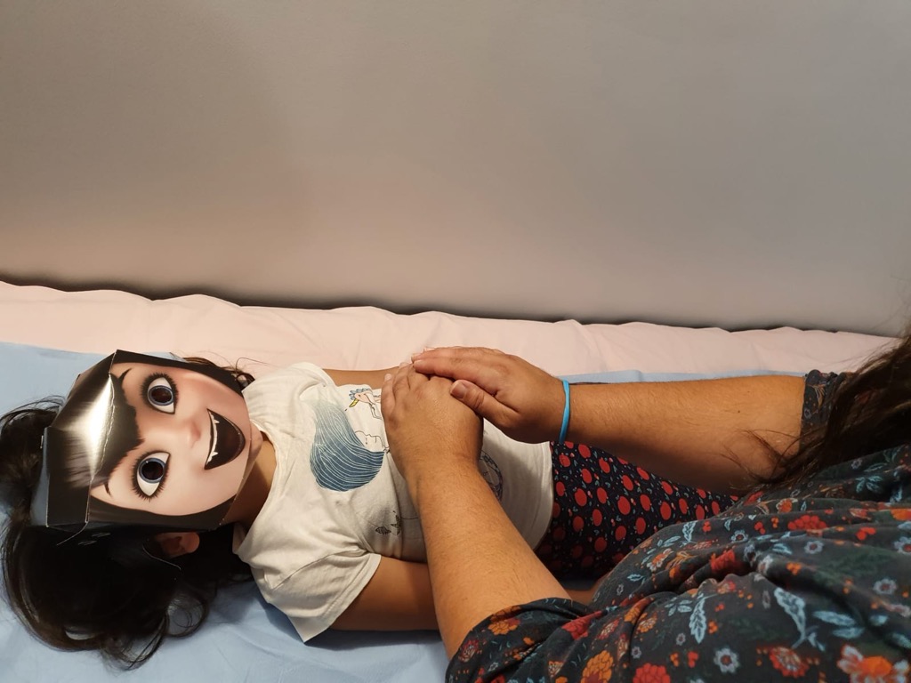 photo seance Une Hirondelle sur sa Branche