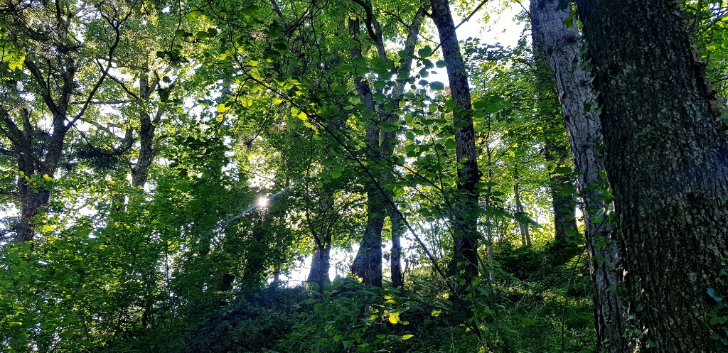 photo portrait Centre Em’Amour