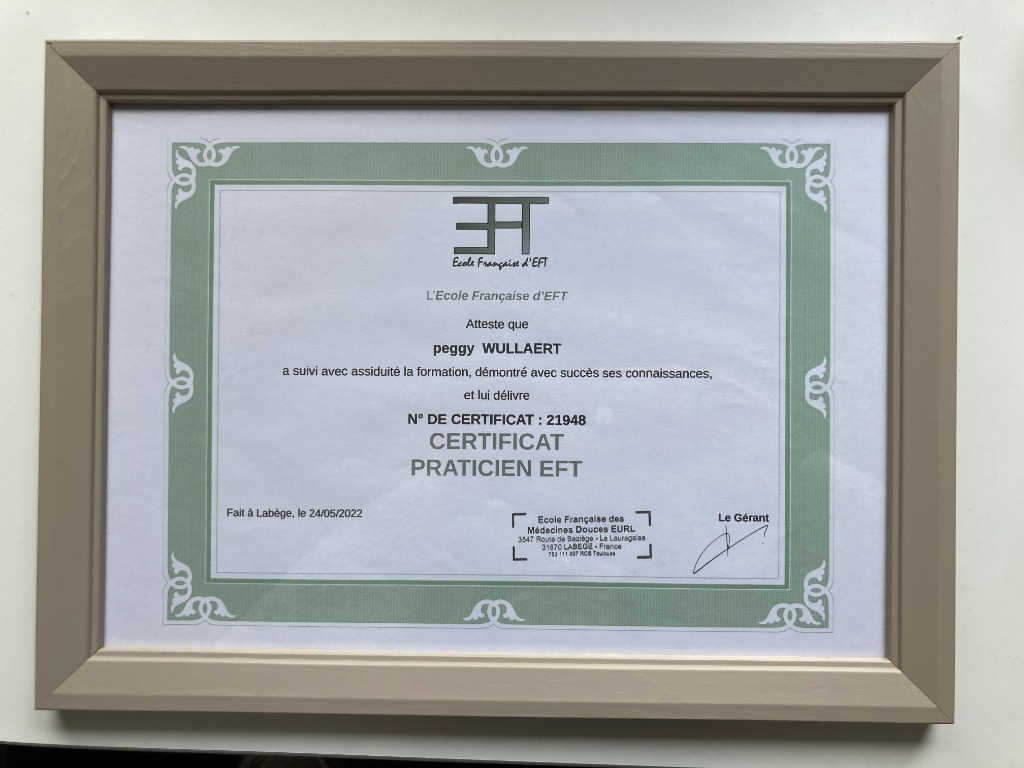photo diplome WULLAERT PEGGY EI
