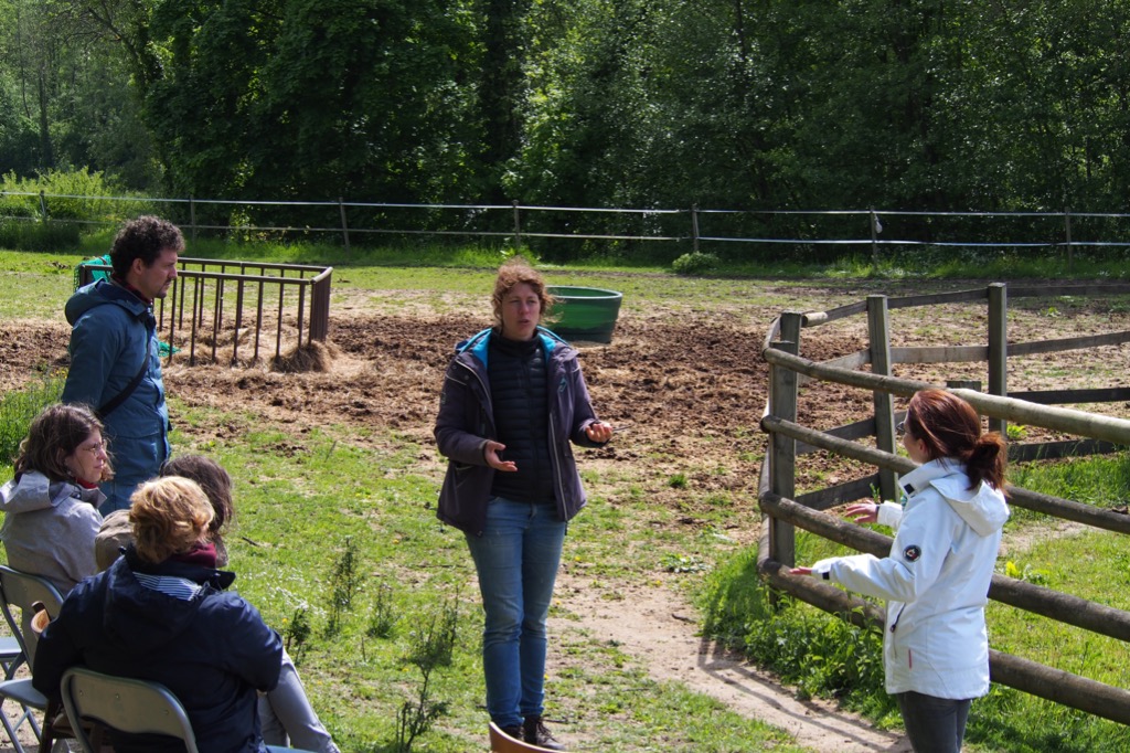 photo activite Cécile Guillaume 