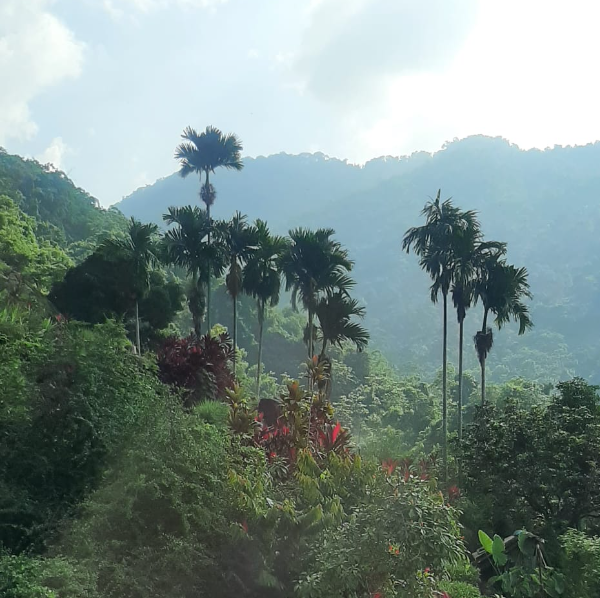 Christelle Raphalen Goulley