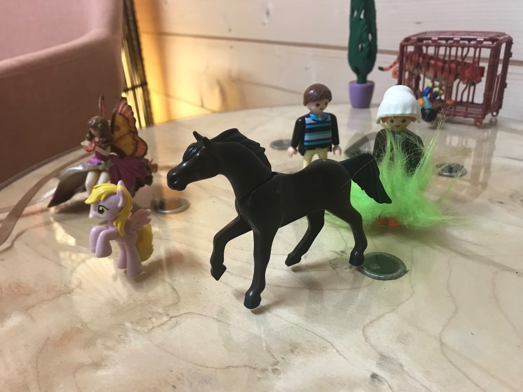 photo seance Les Accompagnements de Sowilo