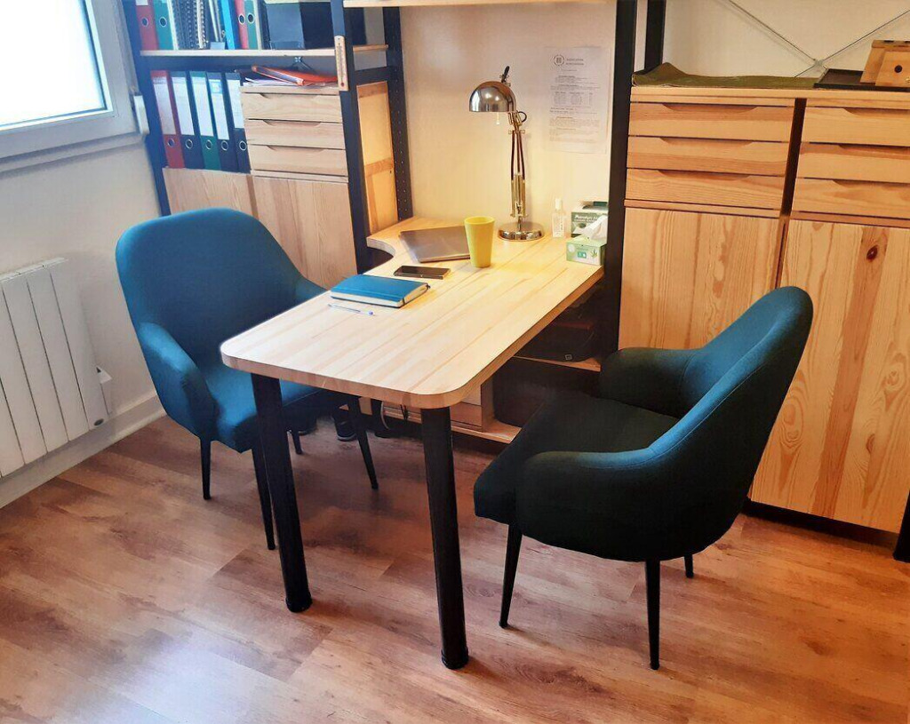 photo cabinet Swan Bargue