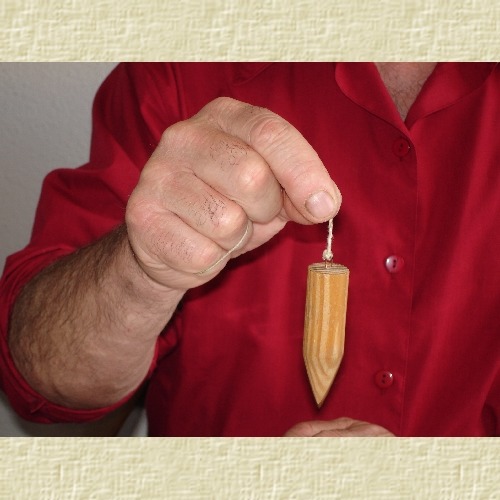 photo activite DECHELLE Guy