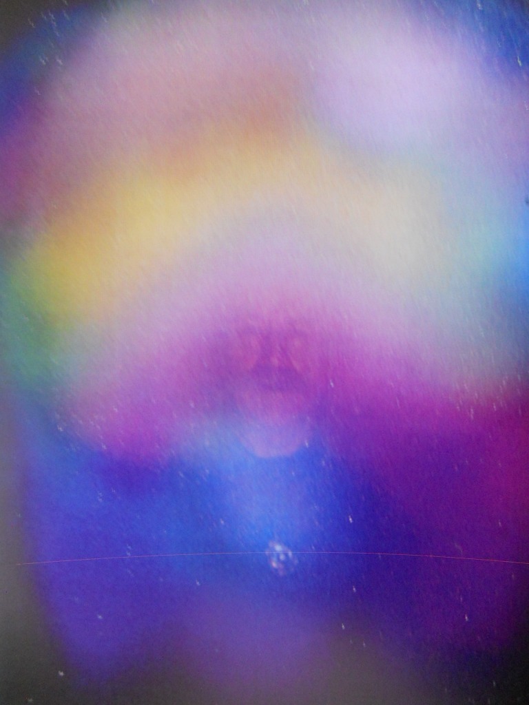 photo portrait DECHELLE Guy