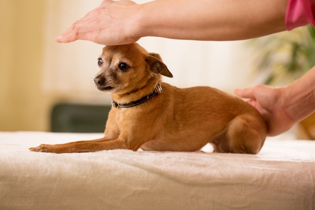 photo activite Lahochi Nathalie