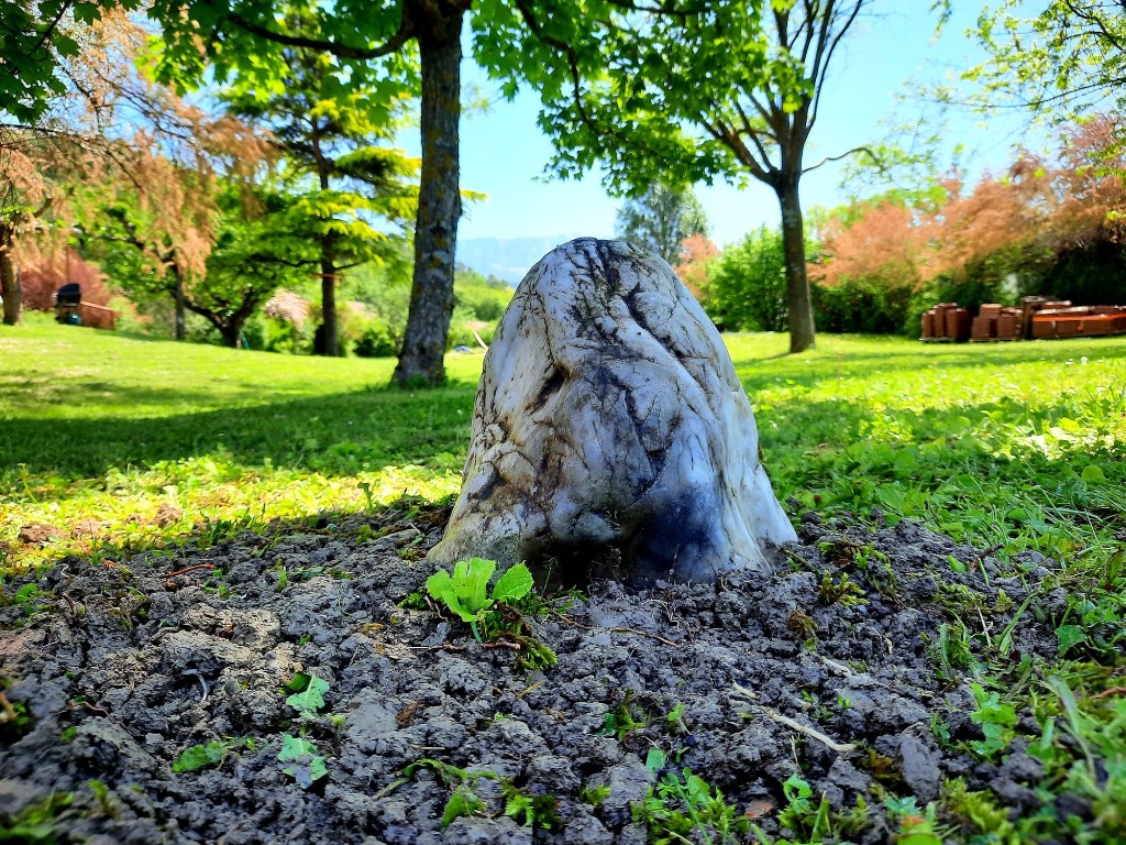 photo cabinet Audrey Vignon