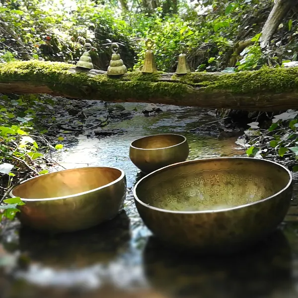 A la croisée de nos chemins
