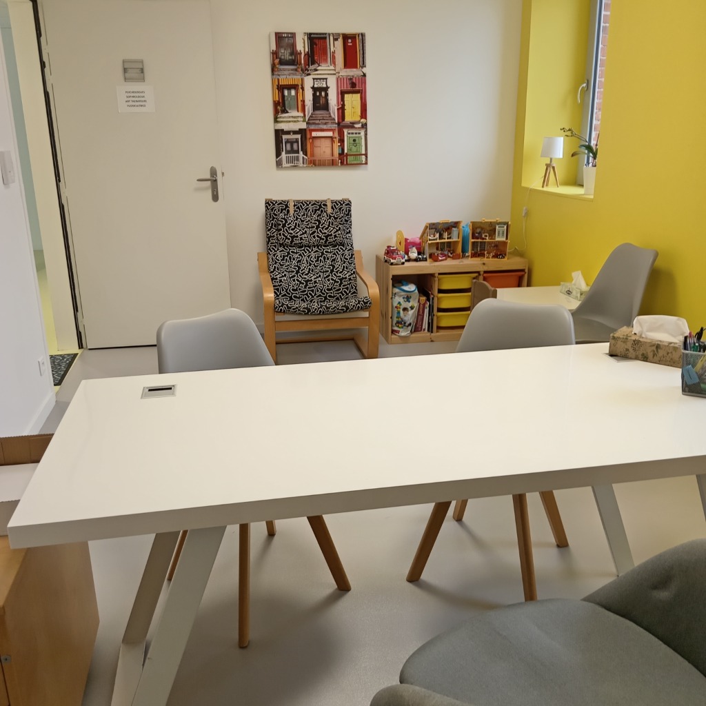 photo cabinet Esprit Libre -Emilienne Lepan 