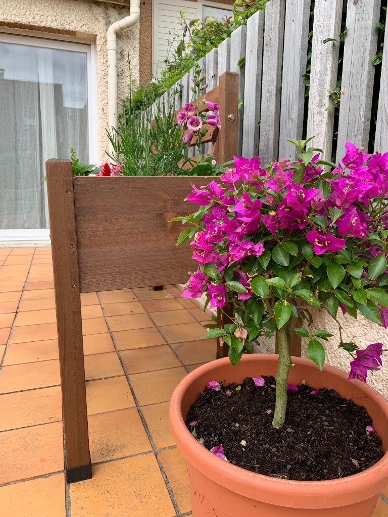 photo seance Virginie Consol