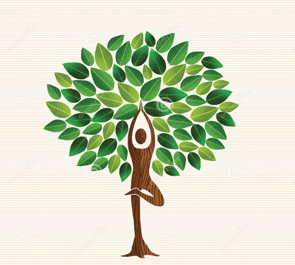 photo activite BONVOISIN