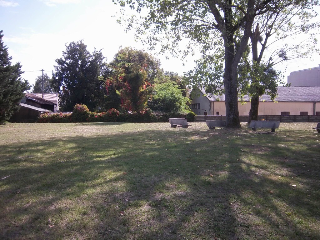 photo activite Brigitte Noel