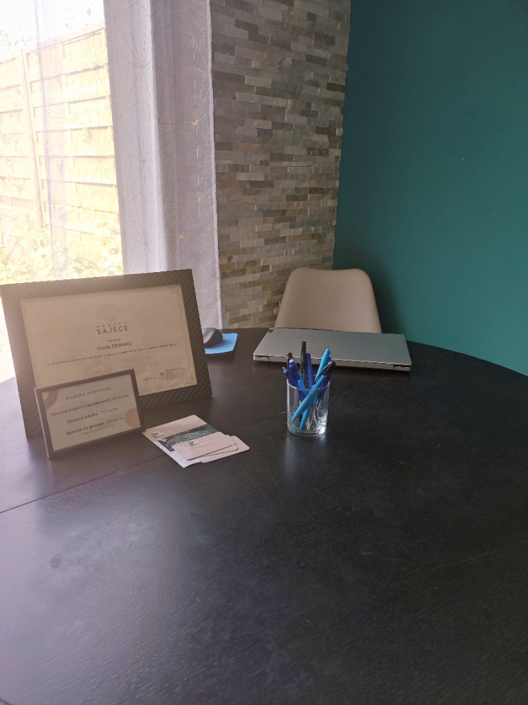 photo cabinet Elodie DEMARD