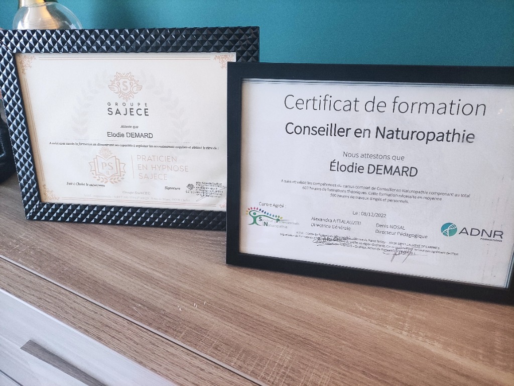 photo diplome Elodie DEMARD