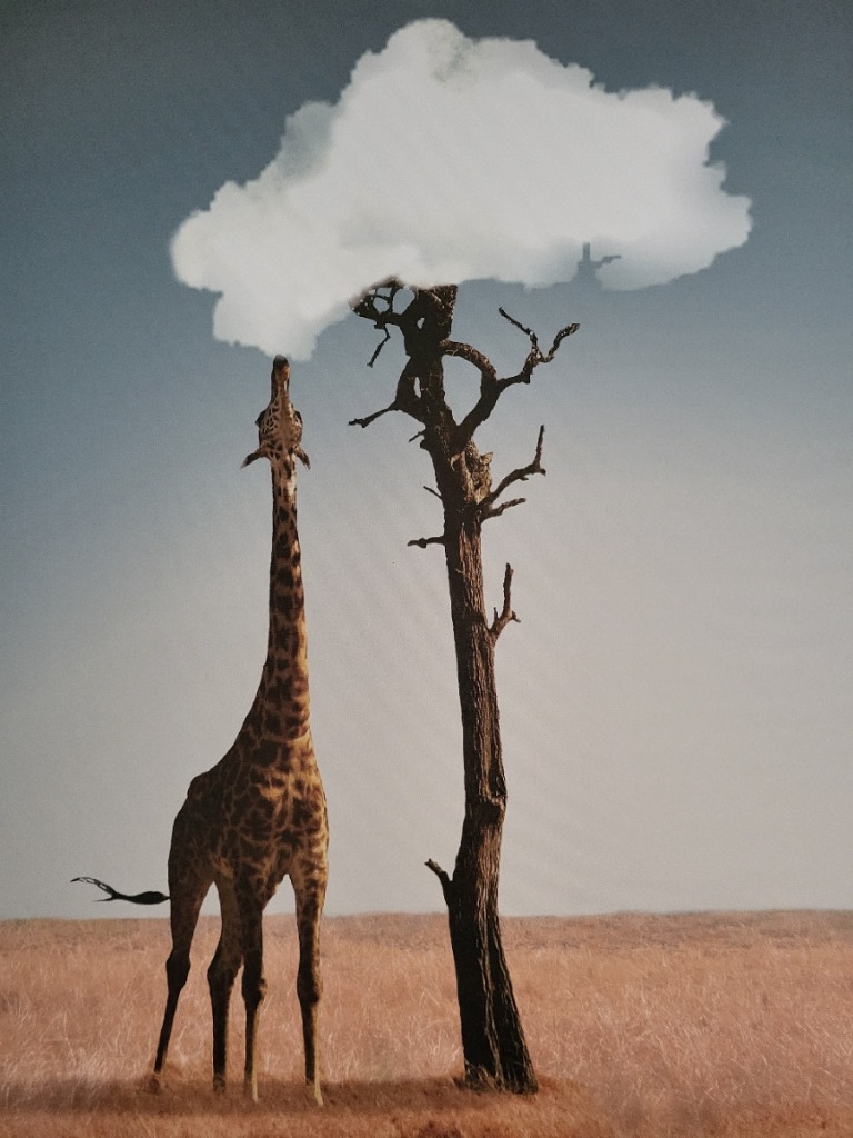 photo seance Sandra PAPAREL