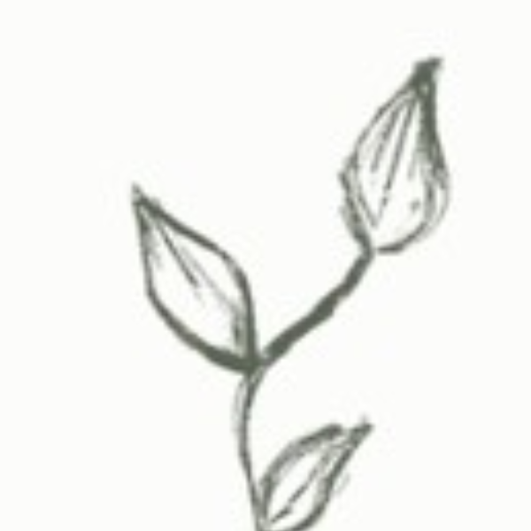 Un brain de pédagogie