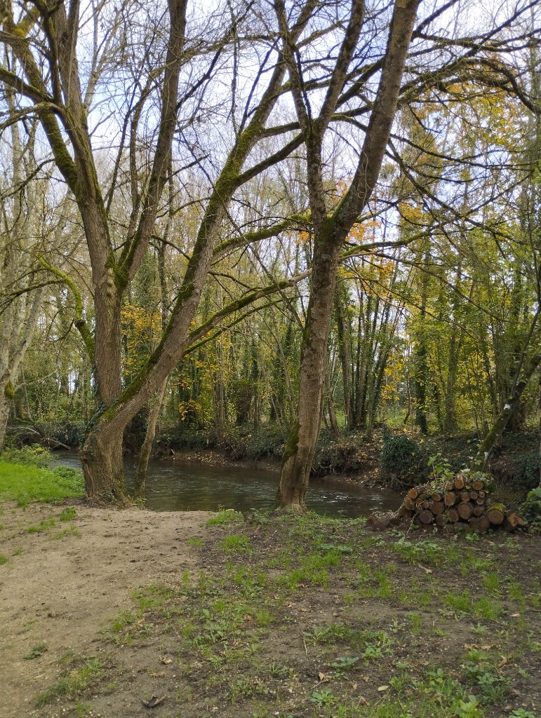 photo cabinet Laurinehypnotherapie