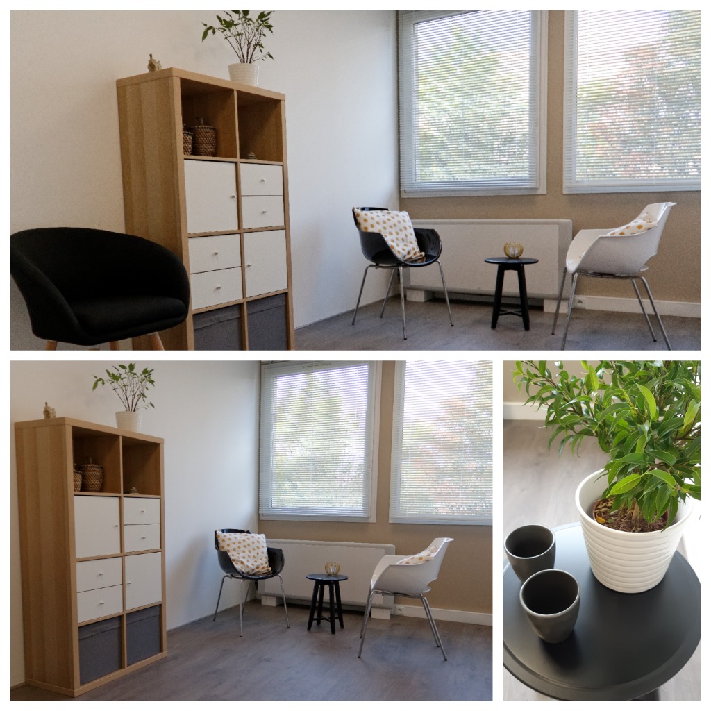 photo cabinet Ludovic BOTTAZZI