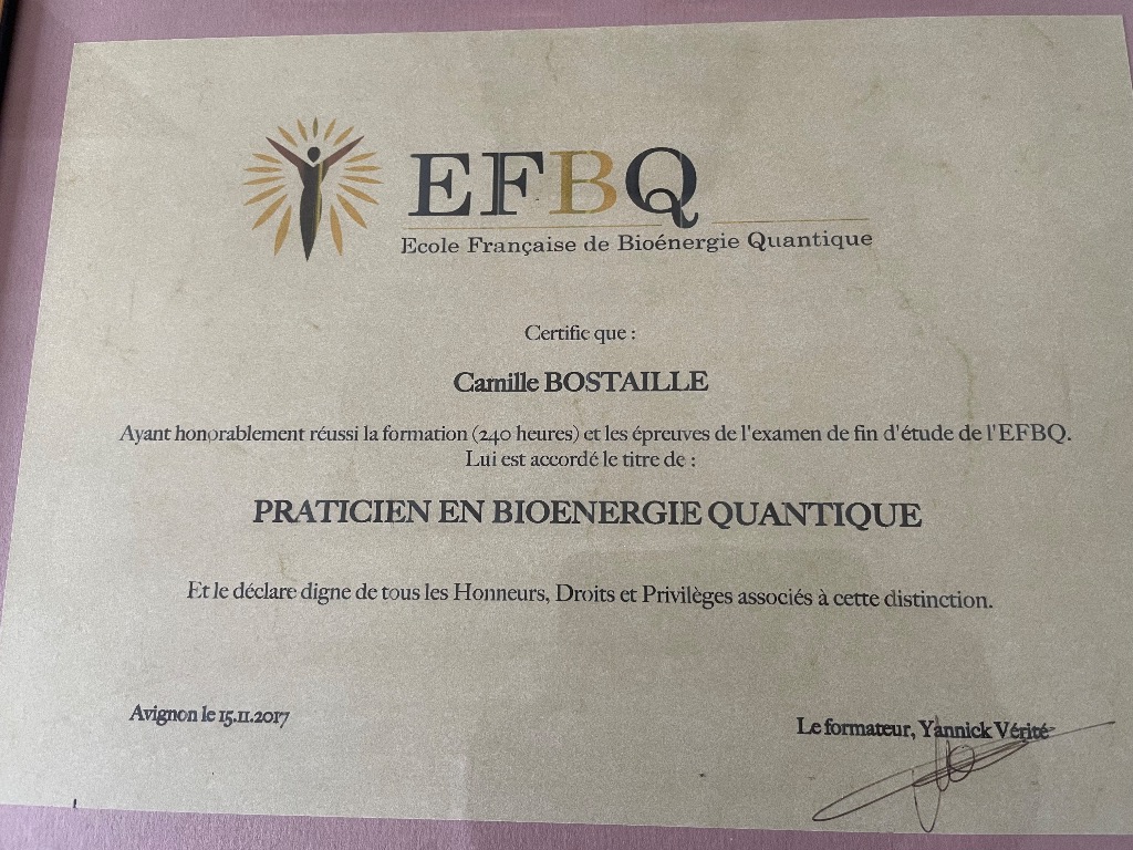 photo diplome Camille Bostaille