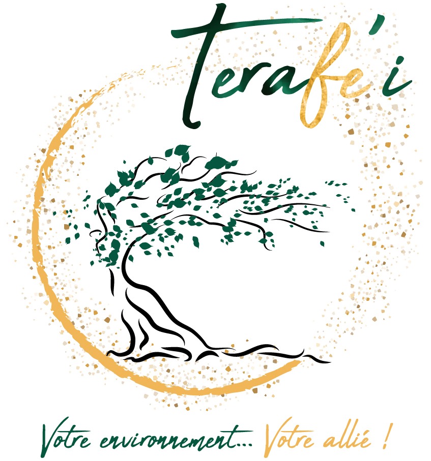 photo cabinet Terafe’i - Christelle LEGROS