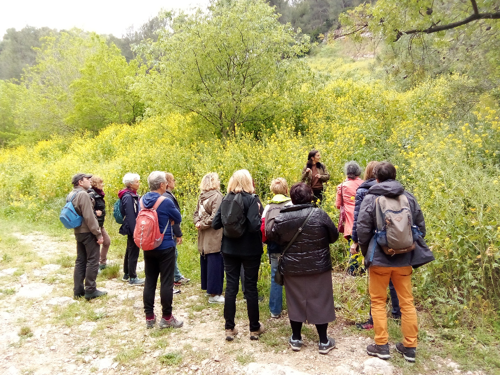 photo activite Alice Mascarell Phytothérapie