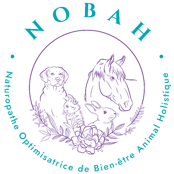 Nobah Naturopathe animalier