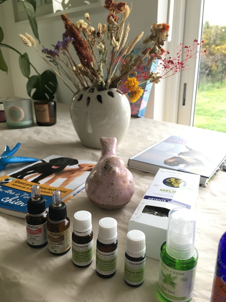 photo cabinet Nobah Naturopathe animalier