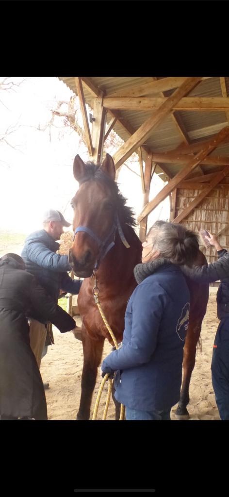 photo activite Isabelle MARIE