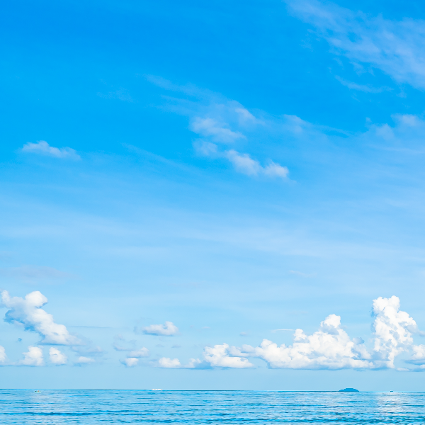 Sophrologue Wasquehal