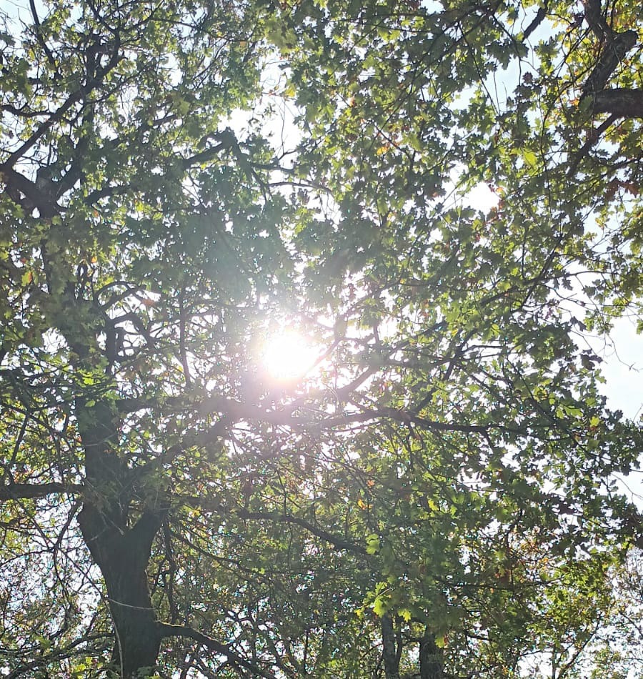 photo diplome MARIE-JOSÉ SÉGURA