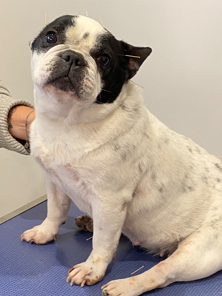 photo cabinet Isabelle Franzetti - Vétérinaire